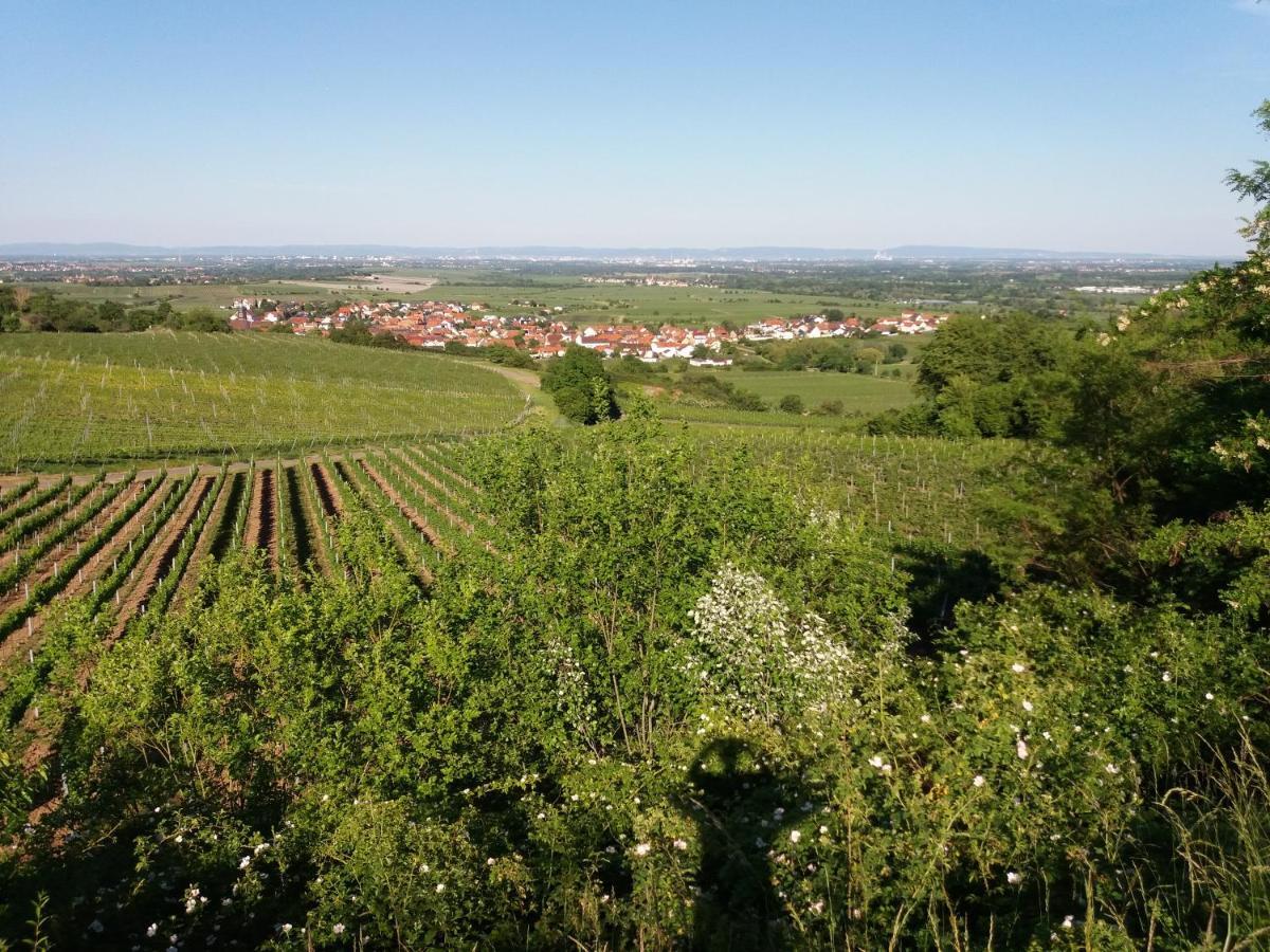 Ferienwohnung Lingenfelder Bad Dürkheim Exteriör bild